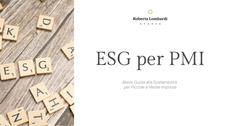 Copertina ESG per PMI